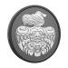 1 oz 2026 The Eagle Black Rhodium Plated Proof Silver Coin | Royal Canadian Mint