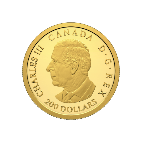 1/2 oz 2026 150th Anniversary of the Library of Parliament Proof Gold Coin | Royal Canadian Mint