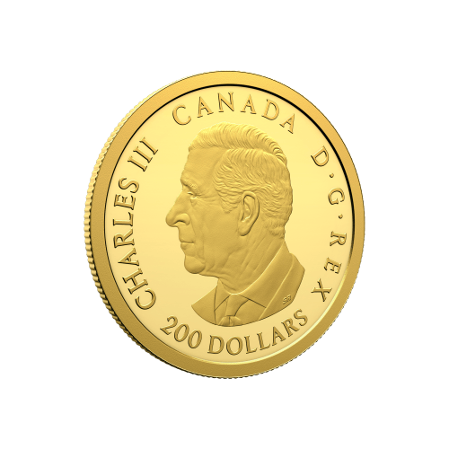 1/2 oz 2026 150th Anniversary of the Library of Parliament Proof Gold Coin | Royal Canadian Mint