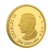 1 oz 2026 Allegories of Peace and Freedom Proof Gold Coin | Royal Canadian Mint