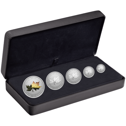 Set of 5 x 2027 Autumn Leaves Colourized Reverse Proof Fractional Silver Coins | Royal Canadian Mint