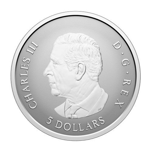 Set of 5 x 2027 Autumn Leaves Colourized Reverse Proof Fractional Silver Coins | Royal Canadian Mint