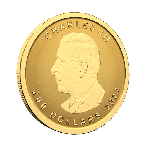 1 oz 2027 Our Purest Maple Leaf 99999 Fine Reverse Proof Gold Coin | Royal Canadian Mint