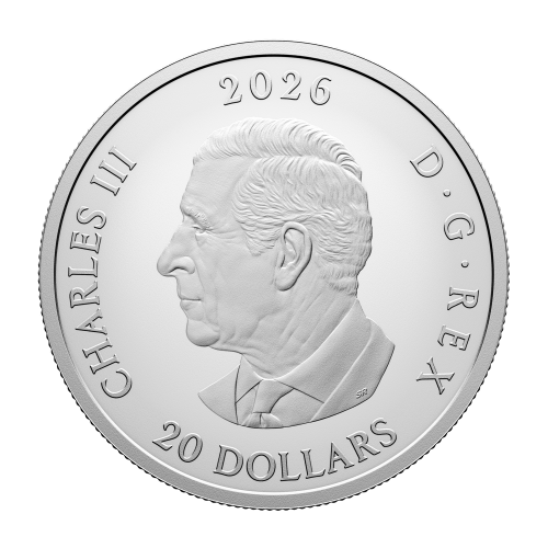 1 oz 2026 Remembrance Day Colourized Proof Silver Coin | Royal Canadian Mint
