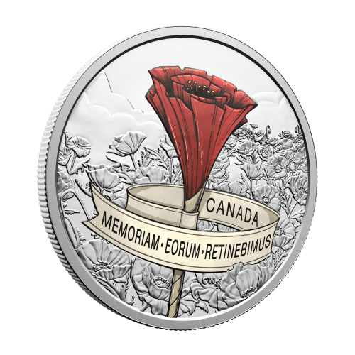 1 oz 2026 Remembrance Day Colourized Proof Silver Coin | Royal Canadian Mint