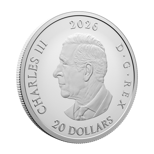 1 oz 2026 Remembrance Day Colourized Proof Silver Coin | Royal Canadian Mint