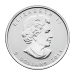 Pièce 1 once d'argent Feuille d'érable canadienne Année aléatoire | Monnaie royale canadienne