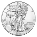 1 oz Random Year American Eagle Silver Coin | United States Mint