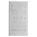 Lingot 100 once d'argent | Elemetal Mint