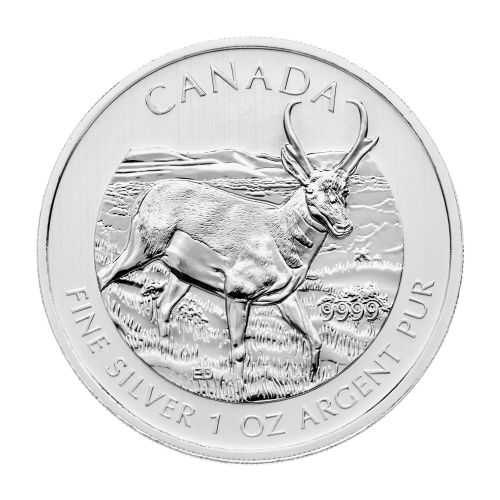 Pièce 1 once d'argent Antilope d'Amérique canadienne 2013 | Teintée et tachée