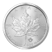 Pièce 1 once de platine Feuille d'érable canadienne Année aléatoire | Monnaie royale canadienne