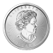 Pièce 1 once de platine Feuille d'érable canadienne Année aléatoire | Monnaie royale canadienne