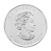 1.5 oz 2013 Canadian Polar Bear Silver Coin | Royal Canadian Mint