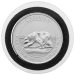 1.5 oz 2013 Canadian Polar Bear Silver Coin | Royal Canadian Mint