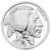 5 oz Buffalo Silver Round | Golden State Mint
