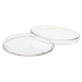 Capsule pour pièces | Modèle Y65 | 65 mm | Rondes ou pièces 5 onces