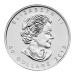 1 oz 2013 Canadian Maple Leaf Platinum Coin | Royal Canadian Mint