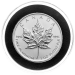 1 oz 2013 Canadian Maple Leaf Platinum Coin | Royal Canadian Mint