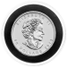 1 oz 2013 Canadian Maple Leaf Platinum Coin | Royal Canadian Mint