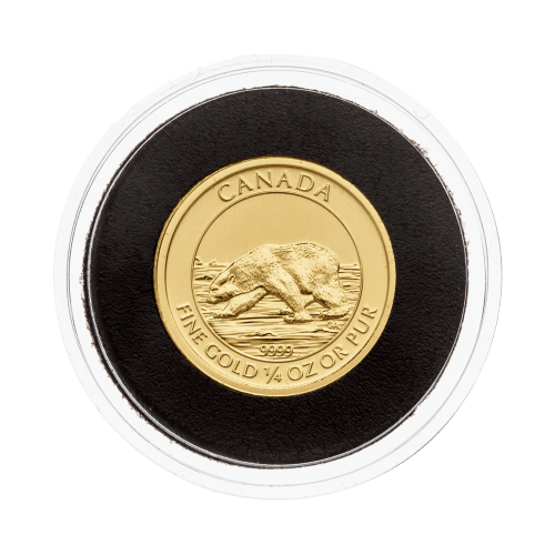 Pièce 1/4 once d'or Ours polaire canadien 2013 | Monnaie royale canadienne