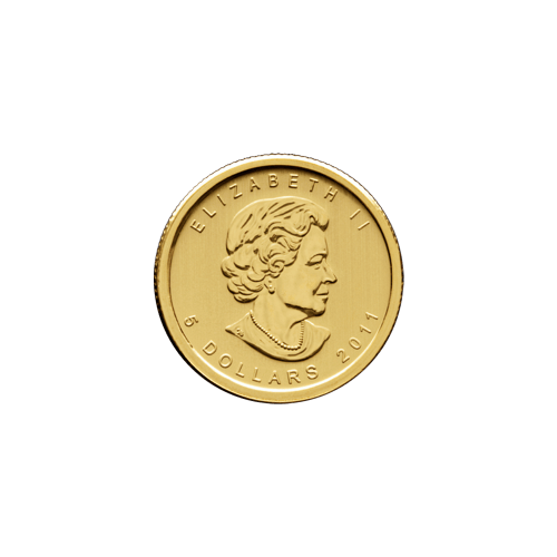 フランス産 アシナガコガネセット1 フランス産 アシナガコガネセット1