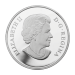 1 oz 2014 Royal Canadian Mint Year of the Horse Silver Coin | Royal Canadian Mint