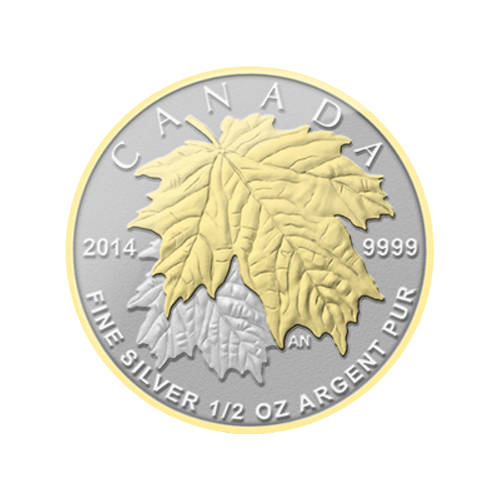 Fractional Set of 2014 Canadian Maple Leaf Gilded Silver Coins | Royal Canadian Mint