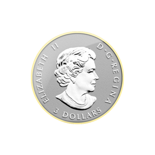 Fractional Set of 2014 Canadian Maple Leaf Gilded Silver Coins | Royal Canadian Mint