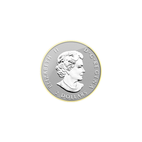Fractional Set of 2014 Canadian Maple Leaf Gilded Silver Coins | Royal Canadian Mint