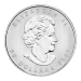 1 oz Random Year Canadian Maple Leaf Palladium Coin | Royal Canadian Mint