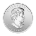 Pièce 1,5 once d'argent Renard arctique canadien 2014 | Monnaie royale canadienne