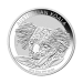 1/2 oz 2014 Australian Koala Silver Coin | Perth Mint