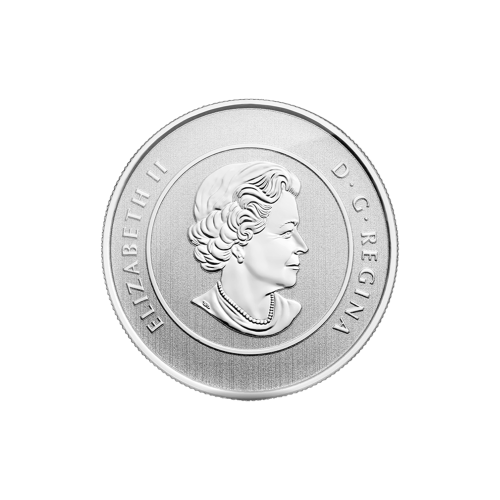 1/4 oz 2014 $20 for $20 Canada Goose Silver Coin