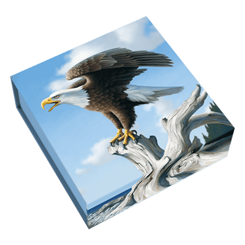 1 oz 2014 $100 for $100 Bald Eagle Silver Coin