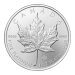 Pièce 1 once de platine Feuille d'érable canadienne 2015