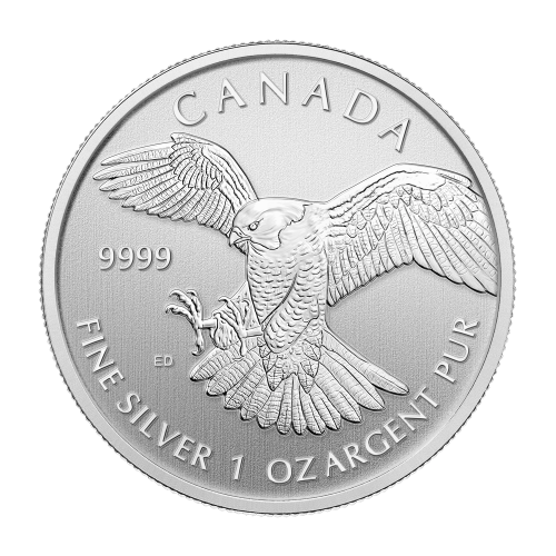 Pièce 1 once d'argent Série Oiseaux de proie : Faucon pèlerin 2024 | Monnaie royale canadienne