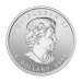 Pièce 1 once d'argent Série Oiseaux de proie : Faucon pèlerin 2024 | Monnaie royale canadienne