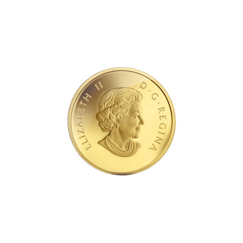 Pièce 1/10 once d'or Série Ô Canada - Grizzly 2014 | Monnaie royale canadienne