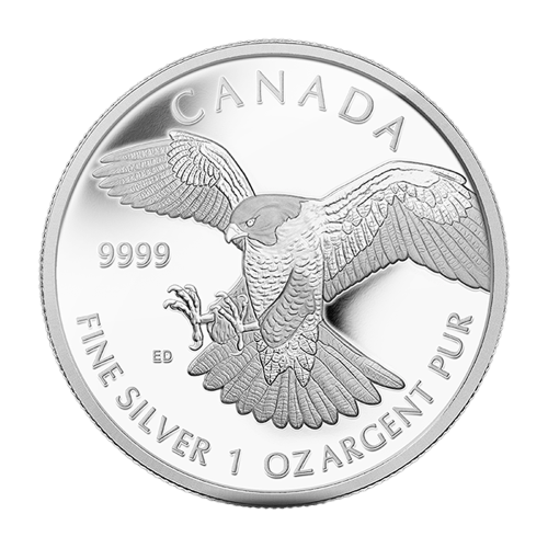 1 oz 2014 Birds of Prey Series: Peregrine Falcon Silver Proof Coin | Royal Canadian Mint