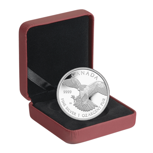 1 oz 2014 Birds of Prey Series: Peregrine Falcon Silver Proof Coin | Royal Canadian Mint