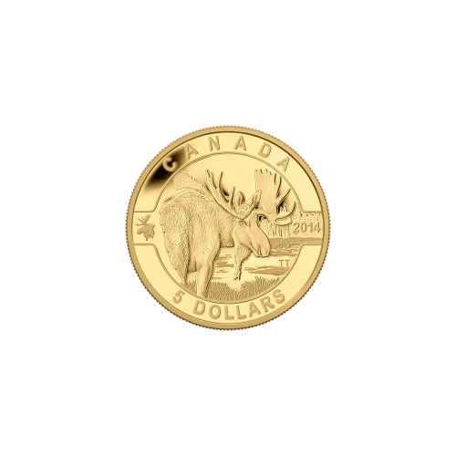 1/10 oz 2014 O Canada Series - Moose Gold Coin | Royal Canadian Mint