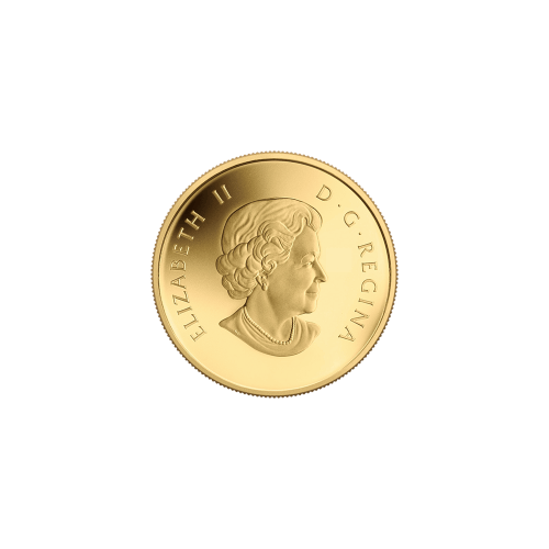 1/10 oz 2014 O Canada Series - Moose Gold Coin | Royal Canadian Mint