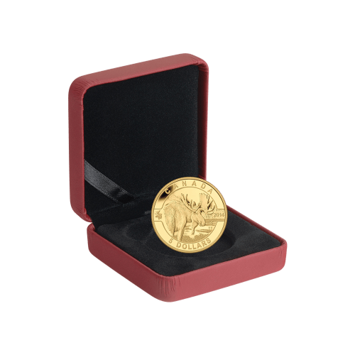 1/10 oz 2014 O Canada Series - Moose Gold Coin | Royal Canadian Mint