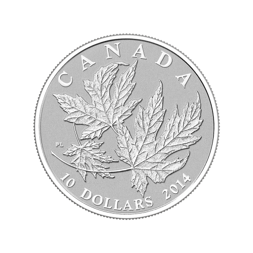 1/2 oz 2014 Canadian Maple Leaves Silver Coin | Royal Canadian Mint