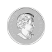 1/2 oz 2014 Canadian Maple Leaves Silver Coin | Royal Canadian Mint