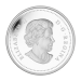 1 oz 2014 Maple Canopy Series: Spring Splendour Silver Coin | Royal Canadian Mint