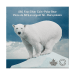 1/2 oz 2014 Iconic Polar Bear Silver Coin | Royal Canadian Mint