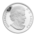 Pièce 1 once d'argent Série Ô Canada - À l'ombre de l’érable 2014