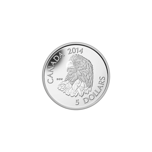 1/10 oz 2014 Bald Eagle Platinum Coin | Royal Canadian Mint
