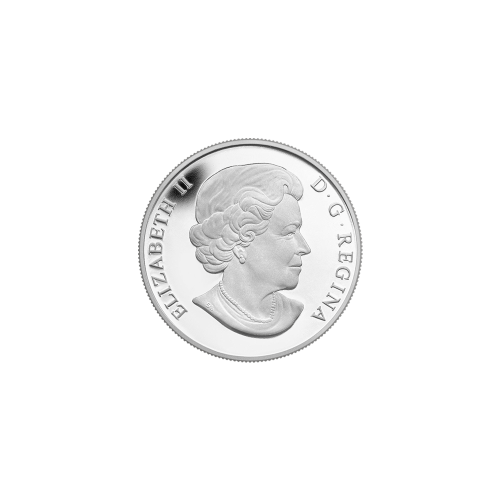 1/10 oz 2014 Bald Eagle Platinum Coin | Royal Canadian Mint